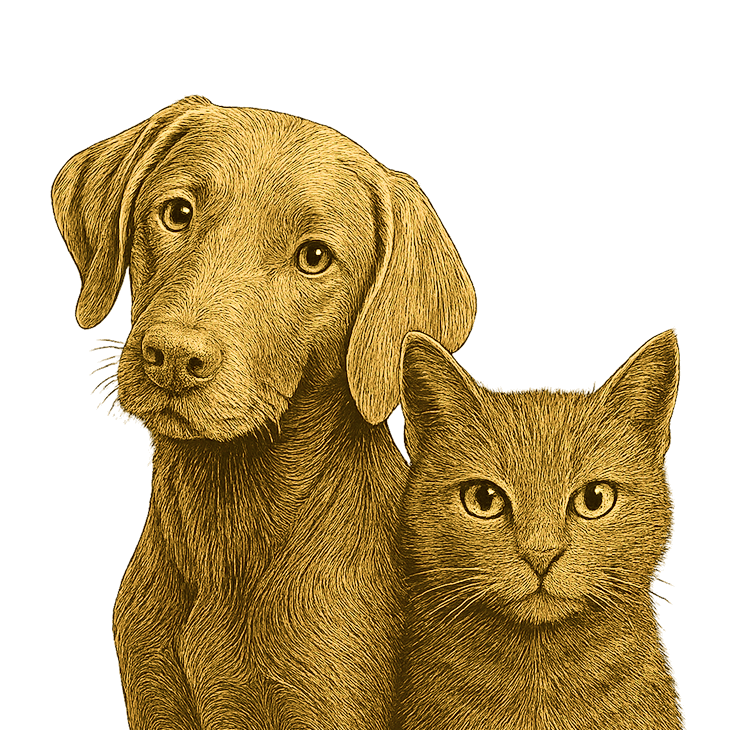 perro y gato dibujo